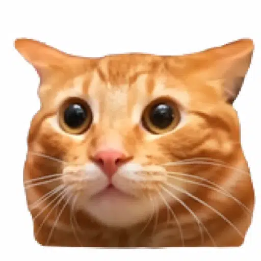 Irlcat