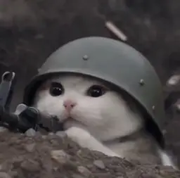 trenchcat