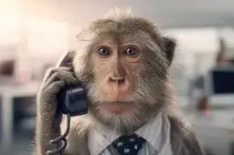 CALL
