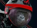 MOONRILLA