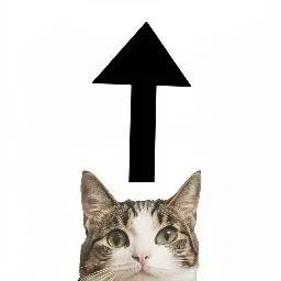 UPCAT