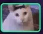 huhcat