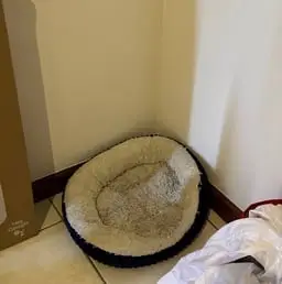 ㅤ