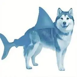 sharkinu
