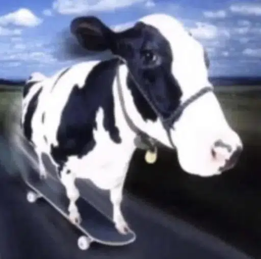COW