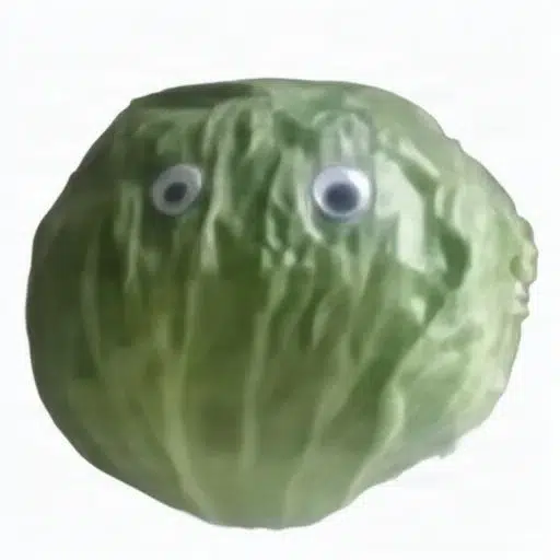 lettuce