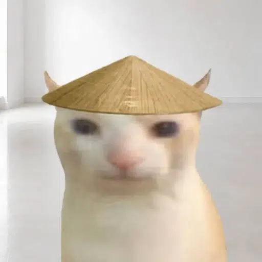 CHAT