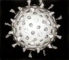 ROTAVIRUS