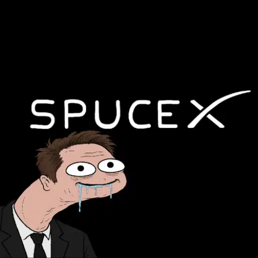 SpuceX logo