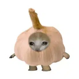 GARLIC