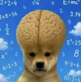 IP