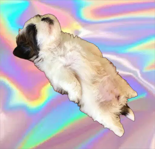 Paningning