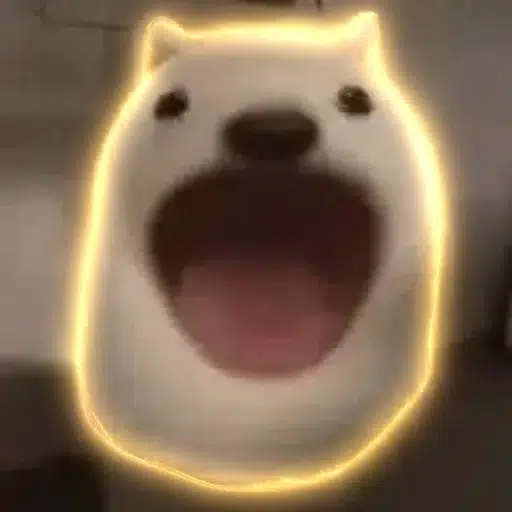 POPDOG