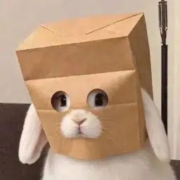 ZBUNNY