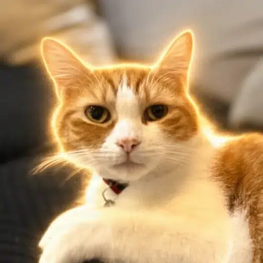 PEPE