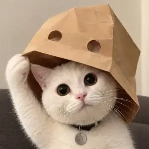 dCAT