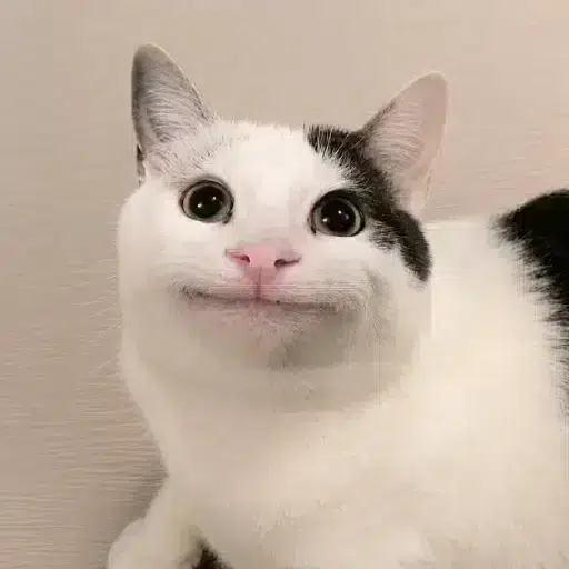 beluga