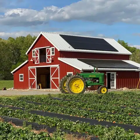 Farm