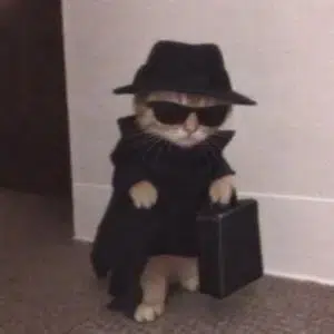 SPYCAT