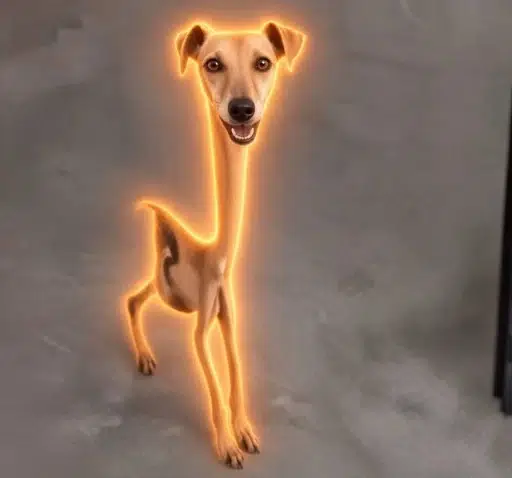 hungrydog