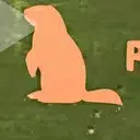BEAVER