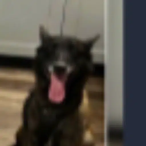 OTIS