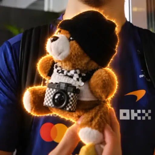 Bear-y