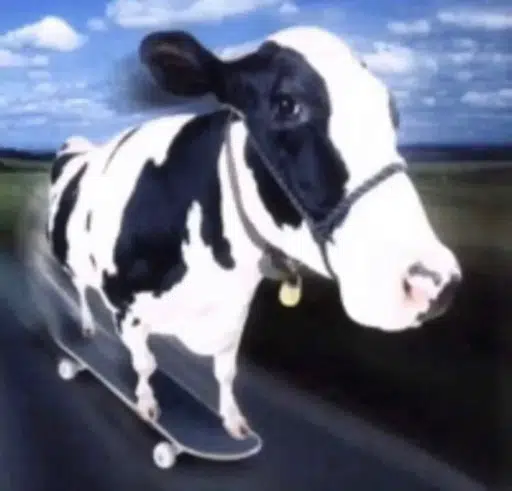 COS