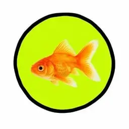 GOLDFISH