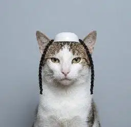 Shekels