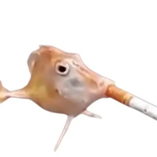 SCF