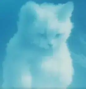 CC