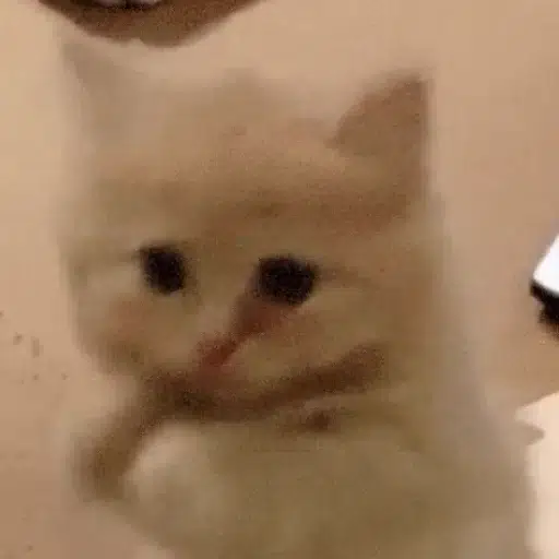 pls