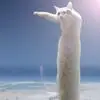 LONGCAT
