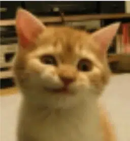 SIRIUS