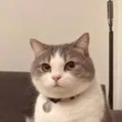 UCAT