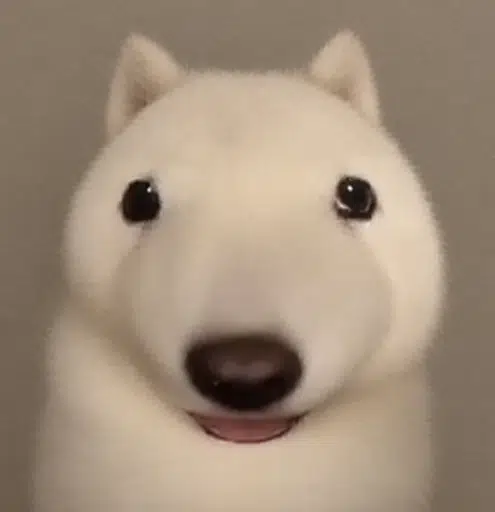 blobdog