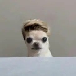 Daegi