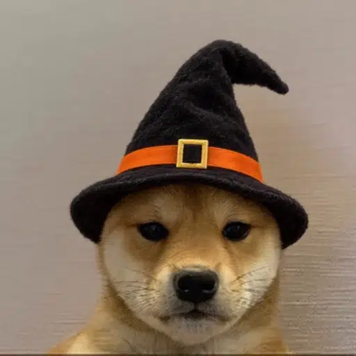 wifween