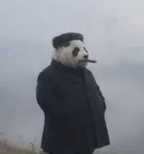 kim