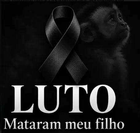 LUTO