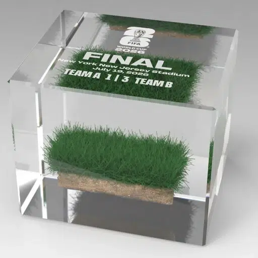 Grass