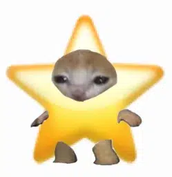 STARCAT