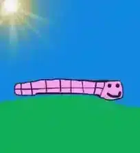 worm