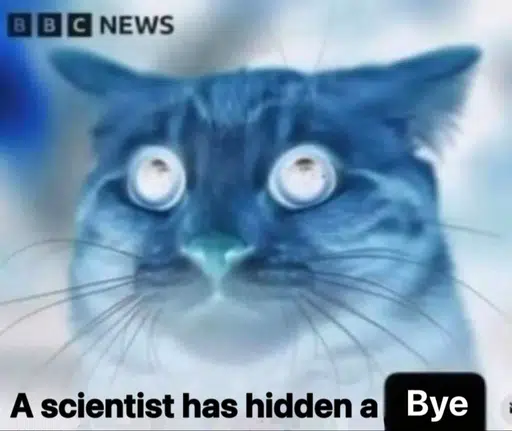 bye