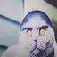 Folkcat