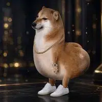 SI