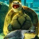 Freaky Turtle logo