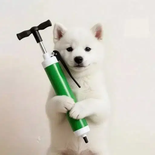 Pump