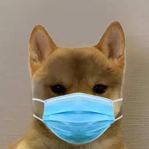 MASK